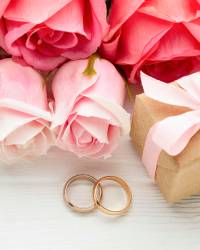 engagement celebration