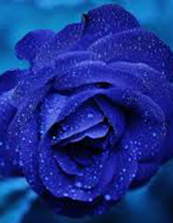 person2 https://hatira.hizmetsana.com/wp-content/uploads/sites/2/2025/06/person2.png